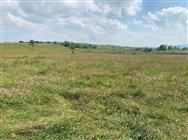 Image of property