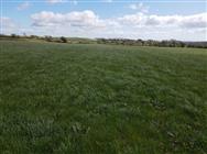 Image of property