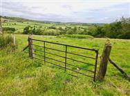 Image of property