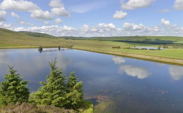 18.84 acres, Lochlyoch and Tinto Trout Fishery, Thankerton ...