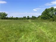 Image of property