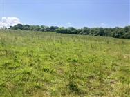 Image of property