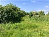 Image of property
