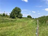 Image of property
