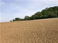 Image of property