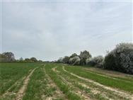 Image of property