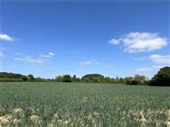 Image of property