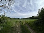 Image of property