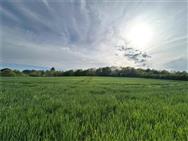 Image of property