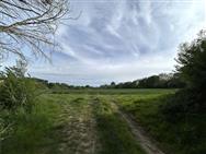 Image of property