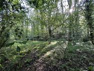Image of property
