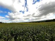 Image of property