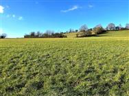 Image of property