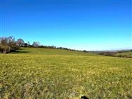 Image of property