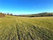 Image of property