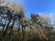 Image of property