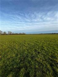 Image of property
