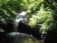Image of property