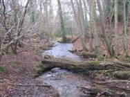 Image of property