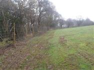 Image of property