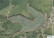 Image of property