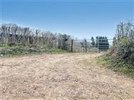 Image of property