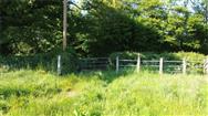 Image of property