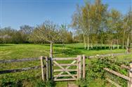 Image of property