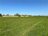 Image of property