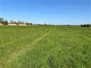 Image of property