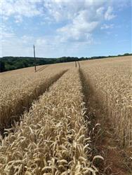 Image of property