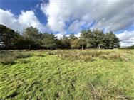 Image of property