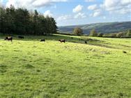 Image of property