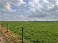 Image of property
