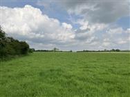 Image of property