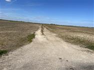 Image of property