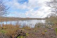 Image of property