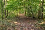 Image of property