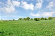 Image of property