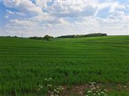 Image of property