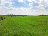 Image of property