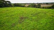 Image of property