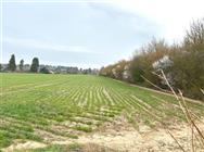 Image of property
