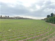 Image of property