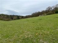Image of property