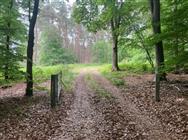 Image of property