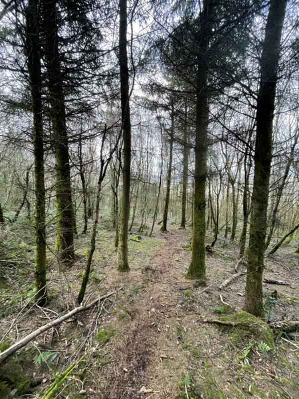 5 acres, Abergavenny, Monmouthshire, South Wales UKLandandFarms.co.uk