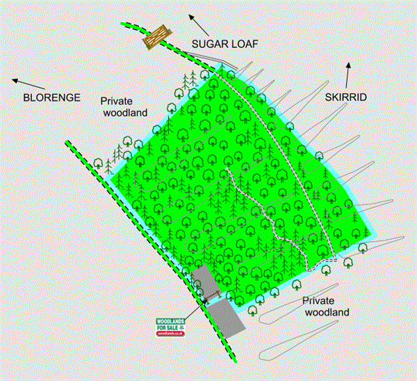 5 acres, Abergavenny, Monmouthshire, South Wales UKLandandFarms.co.uk