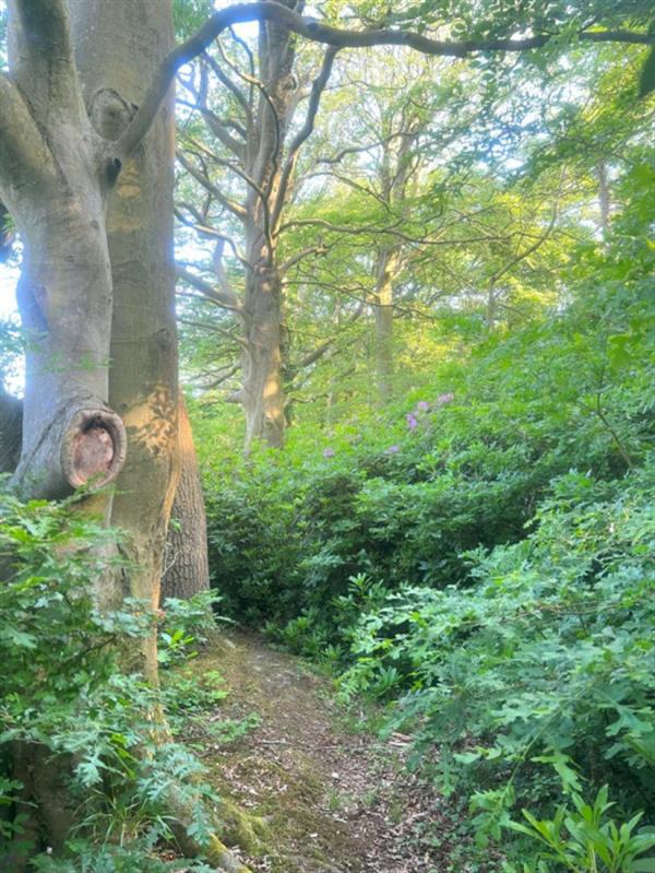 13 acres, Preston, Lancashire UKLandandFarms.co.uk