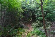 Image of property
